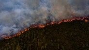 Jumlah Hotspot di Sumsel Mulai Meningkat, Sepanjang Juli Sudah Mencapai 282 Titik