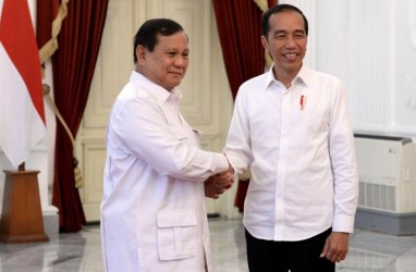 Nasib PSN Warisan Jokowi di Tangan Prabowo, Mangkrak atau Lanjut?