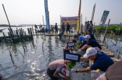 Kolaborasi Konservasi Bakau untuk Wisata Pesisir dan Pelabuhan