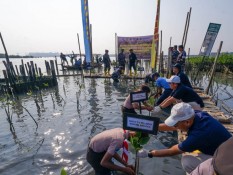 Kolaborasi Konservasi Bakau untuk Wisata Pesisir dan Pelabuhan