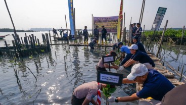 Kolaborasi Konservasi Bakau untuk Wisata Pesisir dan Pelabuhan