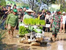 Ini Cara Bupati Bandung Rawat Sektor Pertanian Wujudkan Daerah Lumbung Pangan