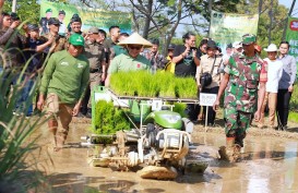 Ini Cara Bupati Bandung Rawat Sektor Pertanian Wujudkan Daerah Lumbung Pangan