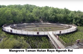 5 Wisata Mangrove Indonesia yang Menarik Dikunjungi