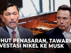 Luhut Sulit Rayu Elon Musk Investasi di RI, Apa Yang Salah?