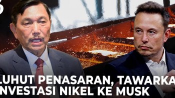 Luhut Sulit Rayu Elon Musk Investasi di RI, Apa Yang Salah?