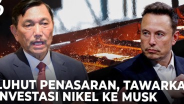 Luhut Sulit Rayu Elon Musk Investasi di RI, Apa Yang Salah?