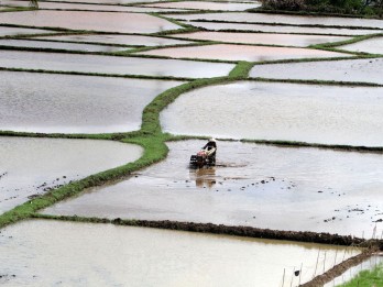 Petani di Padang Diminta Menghemat Air