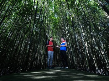 PHR Kurangi Emisi Karbon Lewat Konservasi Mangrove di Bandar Bakau Dumai