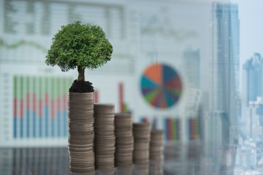 ESG Assets Gain Fresh Momentum in the Second Half of 2024