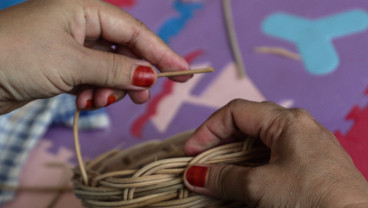 Indonesia Revitalizes the Rattan Industry Ecosystem