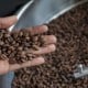 Harga Kopi Melambung, Ancaman Pahit Bagi Penikmat dan Pebisnis