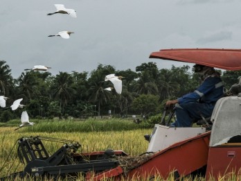 Wawancara Menteri Pertanian Amran: Swasembada Beras Bukan Hal Mustahil