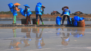 Stok Melimpah, Harga Garam Mengalami Penurunan