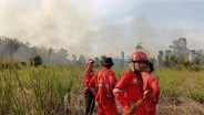 2 Daerah di Sumbar Terjadi Karhutla