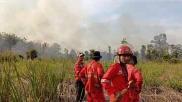 2 Daerah di Sumbar Terjadi Karhutla