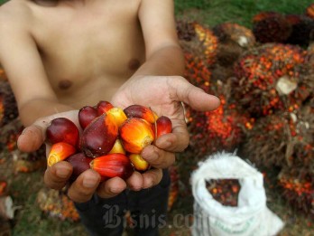 Kemendag Buka Jalan Kopi hingga Sawit RI Masuk Pasar Timteng