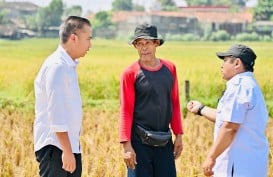 Ada Ancaman Kemarau Panjang, Bey Cek Ke Lapangan Serap Aspirasi Petani Bogor