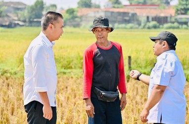 Ada Ancaman Kemarau Panjang, Bey Cek Ke Lapangan Serap Aspirasi Petani Bogor