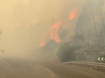 WNI Diimbau Tinggalkan Lebanon untuk Sementara, Buntut Konflik Hizbullah-Israel