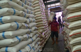 Harga Gabah Naik, Beras Eceran Tembus Rp14.677 per Kg