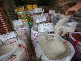 Harga Beras dan Gabah Ciayumajakuning Naik di Tengah Masa Tanam