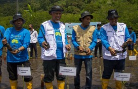 World Mangrove Day, Pertamina Tanam 1.000 Bibit Mangrove di Kawasan Desa Wisata Taluak Buo