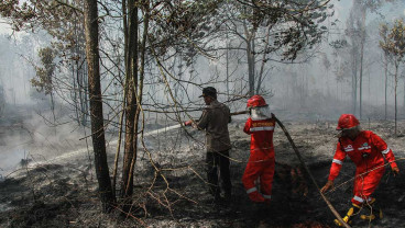 Kebaran Lahan di Kalimatan Tengah Mencapai 384,85 Haktare