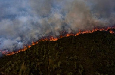 Intensitas Kebakaran Hutan dan Lahan di Kotawaringin Barat Meningkat saat Kemarau