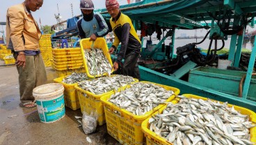 Produksi Perikanan Tangkap Cirebon Capai 2.679 Ton