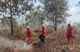 Sejumlah Lahan dan Kebun di Sumsel Terbakar, Ini Rincian Luasannya