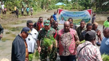 Lahan Tidur di Papua Pegunungan Didorong Ditanami Komoditas Pangan