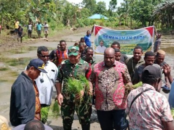 Lahan Tidur di Papua Pegunungan Didorong Ditanami Komoditas Pangan