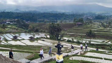Ekonomi Bali Tumbuh 5,36%, Diversifikasi Non Pariwisata Diperlukan
