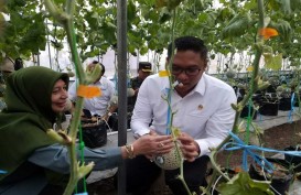 Implementasi Pertanian Lewat Smart Green House Didorong