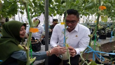 Implementasi Pertanian Lewat Smart Green House Didorong