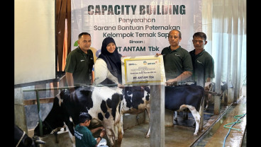 Sinergi PNM-ANTAM Dorong Kualitas Produksi Susu Lokal