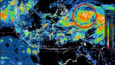 Badai Debby Terbangkan Kokain Senilai US$ 1 Juta