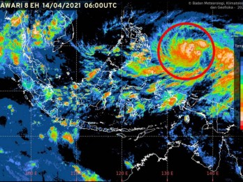 Badai Debby Terbangkan Kokain Senilai US$ 1 Juta