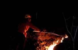 Kebakaran Melanda Hutan Jati di Balong Ponorogo