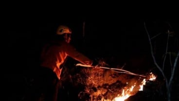 Kebakaran Melanda Hutan Jati di Balong Ponorogo