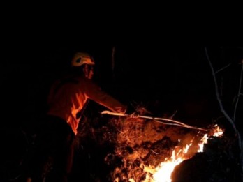 Kebakaran Melanda Hutan Jati di Balong Ponorogo