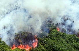 9 Kabupaten Kota di Riau Sudah Tetapkan Status Siaga Darurat Karhutla