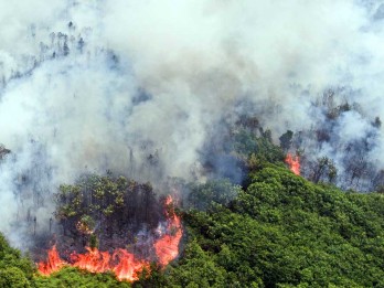 9 Kabupaten Kota di Riau Sudah Tetapkan Status Siaga Darurat Karhutla