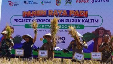 Pupuk Kaltim Sukses Tingkatkan Produktivitas Padi di Jember