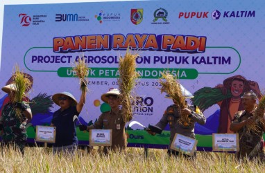 Pupuk Kaltim Sukses Tingkatkan Produktivitas Padi di Jember