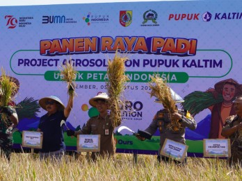 Pupuk Kaltim Sukses Tingkatkan Produktivitas Padi di Jember