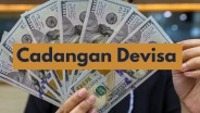 Kabar Baik, Cadangan Devisa Indonesia Naik Jadi US$145,5 Miliar per Juli 2024