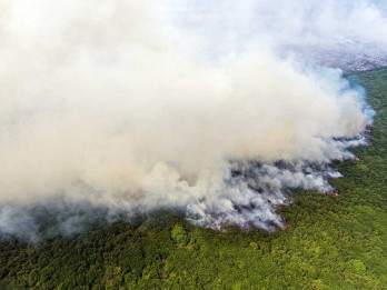 BNPB Kirim Helikopter Black Hawk untuk Pemadaman Karhutla di Riau