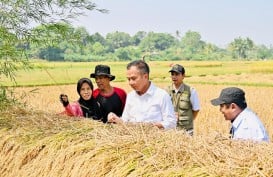 Jabar Fokus Peningkatan Indeks Pertanaman dan Perluasan Areal Tanam